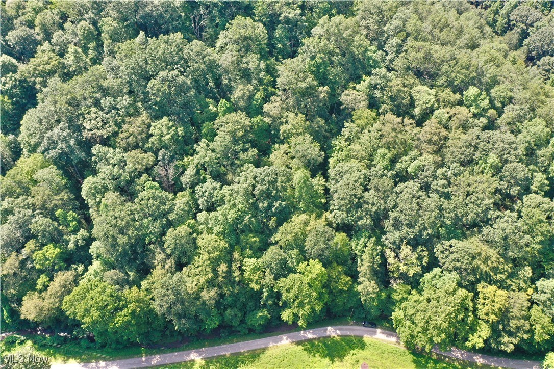 Big Root Road, Big Bend, WV, offers 72.79 acres of unrestricted land in Calhoun County—an ideal hunting property just in time for West Virginia’s hunting season. This acreage features gravel road access along the bottom land, with a gated right-of-way that leads to the upper portion of the property. The terrain is steep in many areas, with some usable ridgetop spots, making it well-suited for recreation rather than building. Several natural water features, including creeks, run through the lower lands near the road, adding to the property's appeal for wildlife and hunting. The land is private, remote, and utility-free, offering a true off-the-grid experience for those looking to escape and enjoy the outdoors. While the property is secluded, it's still conveniently located near the town of Grantsville for groceries, restaurants, and other essentials. If you're looking for a raw piece of land with no restrictions and plenty of wildlife, this 72.79-acre tract on Big Root Road is ready for your next outdoor adventure.