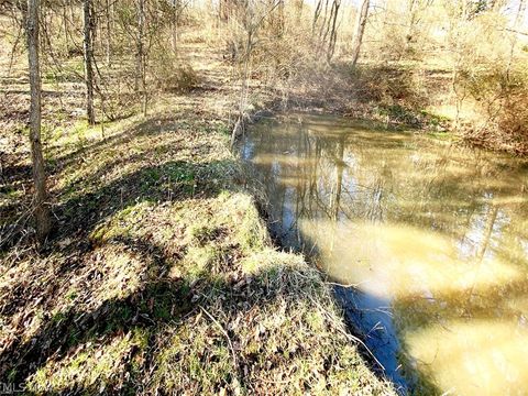 Vacant Land For Sale - Twp Rd 318 Road<br/> Noble County, Dexter City, OH 45727