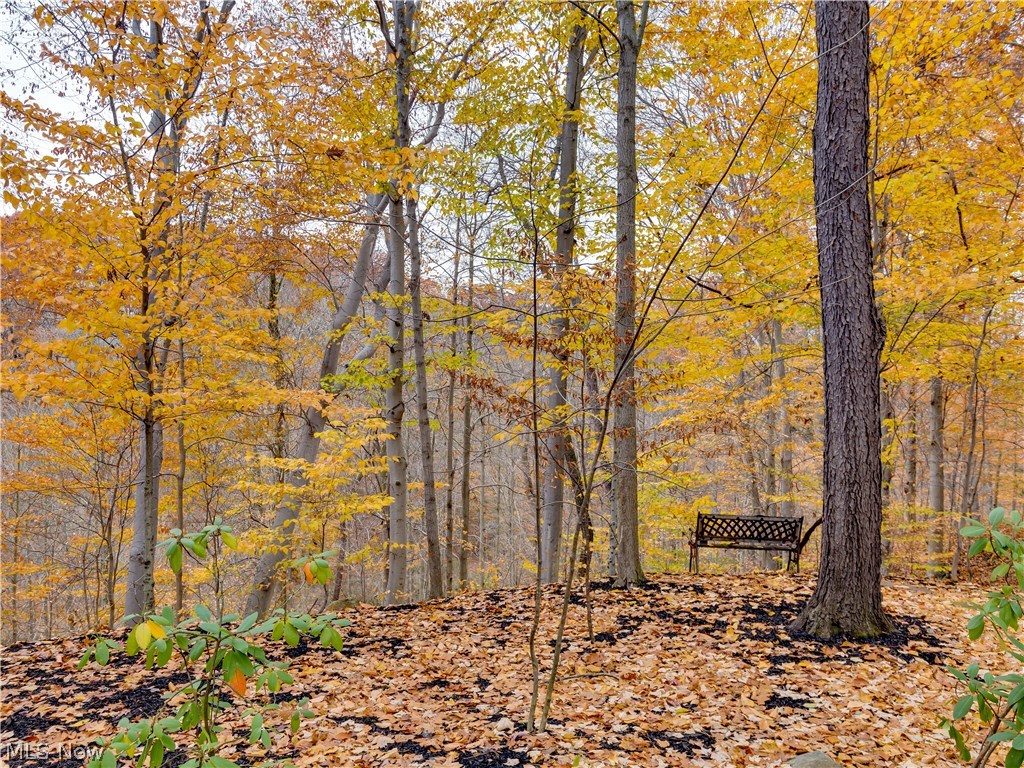 High Hampton - Residential