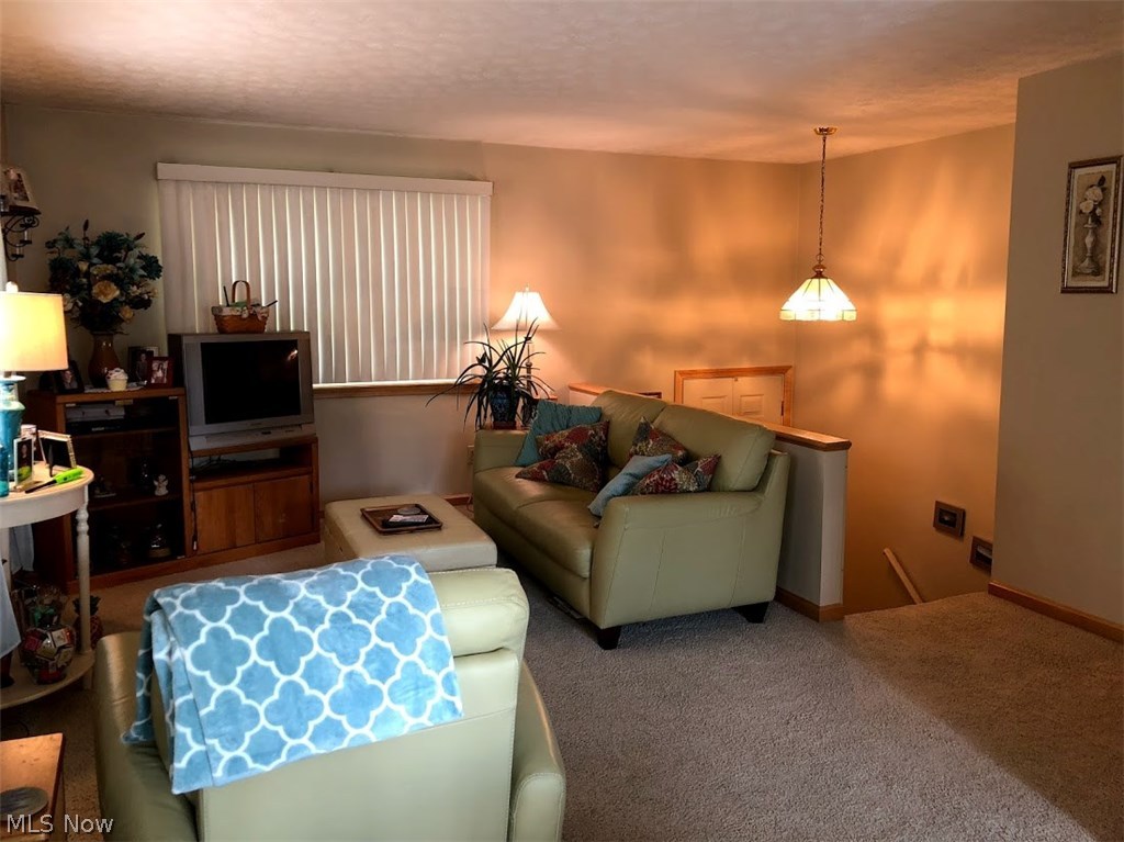 Tallmadge Road Allotment - Residential