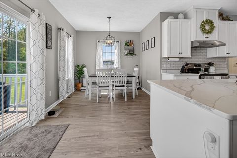 Tiny photo for 1116 Keenan Court, Grafton, OH 44044 (MLS # 5208991)