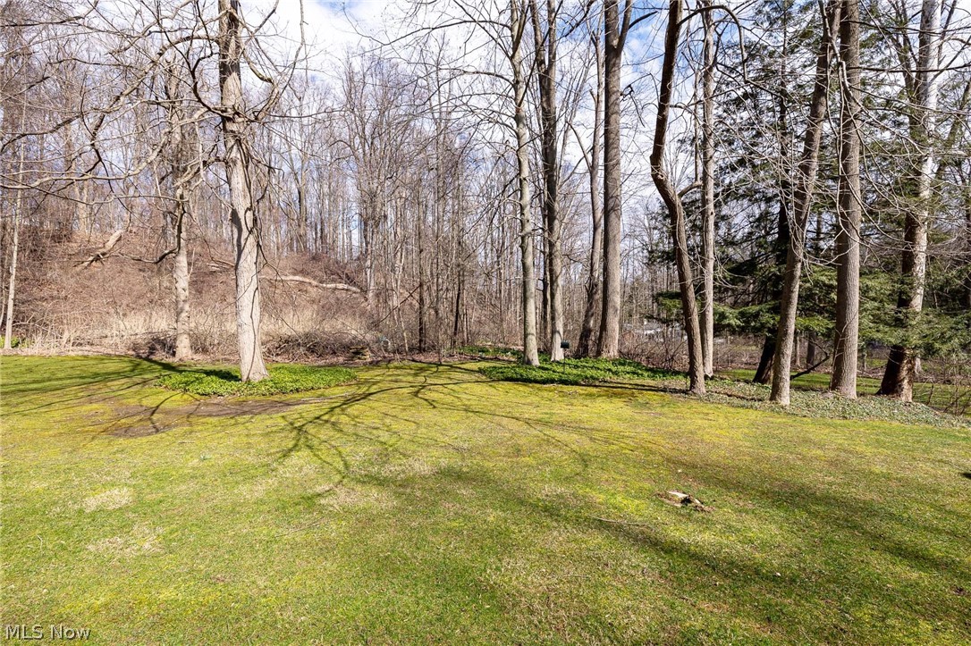 Chagrin Riverview - Residential