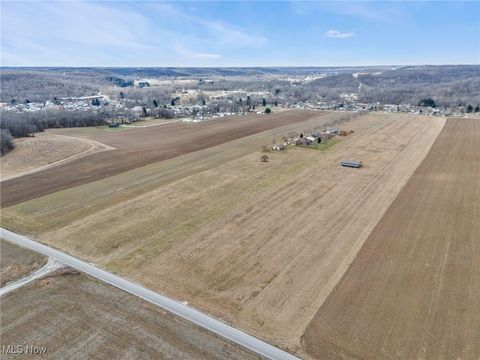 Vacant Land For Sale - 8205 Lee Road<br/> Carroll County, Malvern, OH 44644