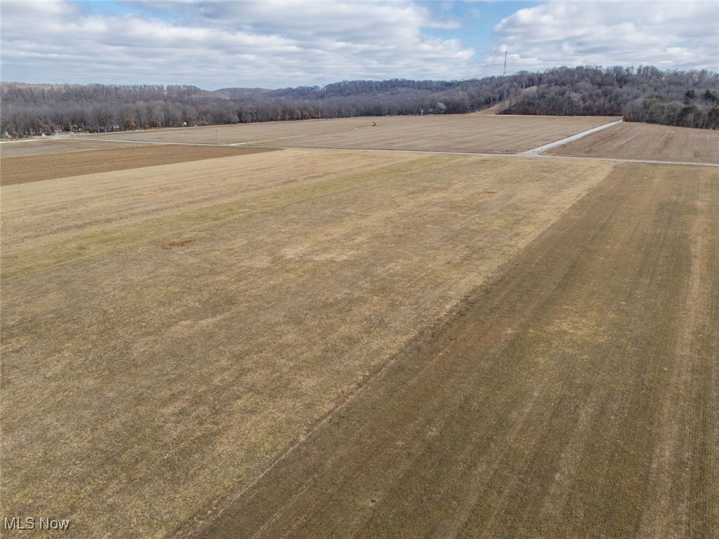 8205 Lee Road, Malvern, Ohio image 2