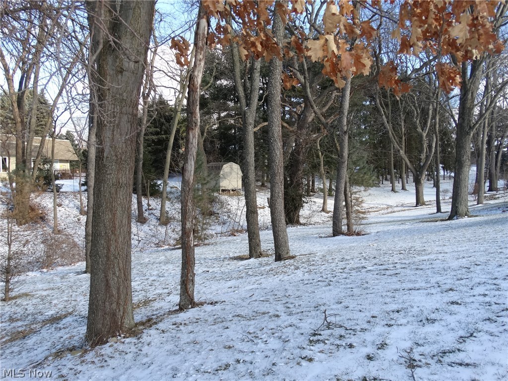 Forest Trail Allotment - Residential