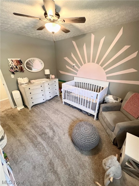 Stevens Blvd Allotment - Residential