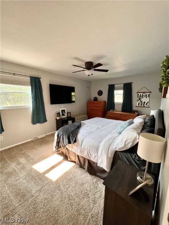 Stevens Blvd Allotment - Residential