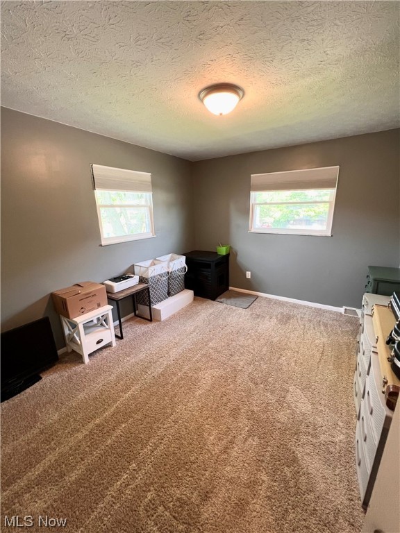 Stevens Blvd Allotment - Residential