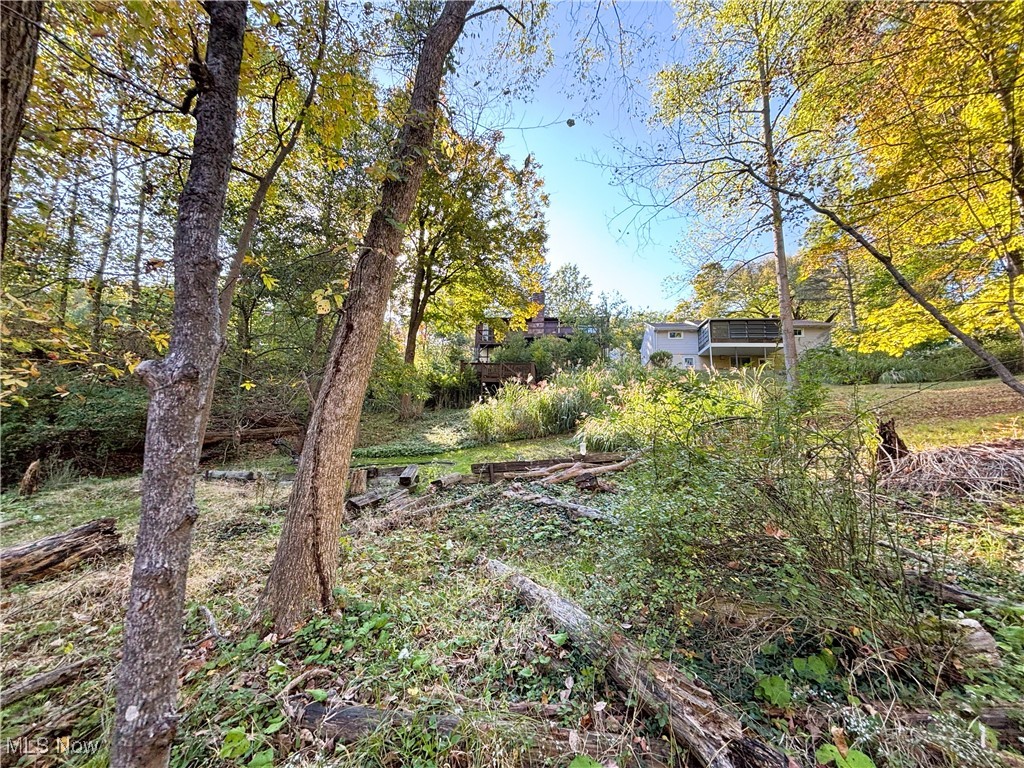 Bedford Allotment - Residential