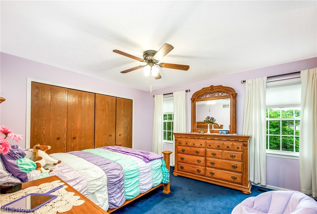 Shepherds Hill Allotment 09 - Residential