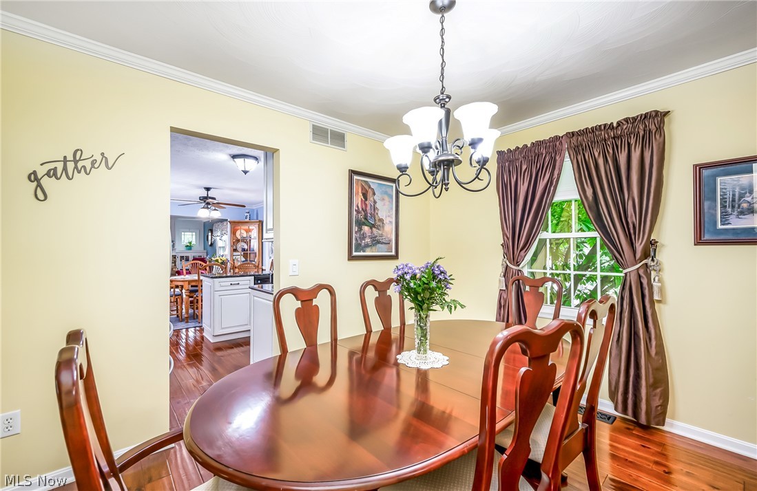 Shepherds Hill Allotment 09 - Residential