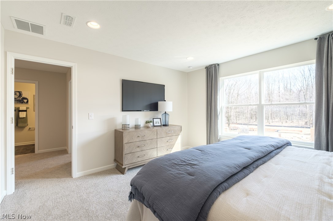 Summit at Forest Lakes - Residential