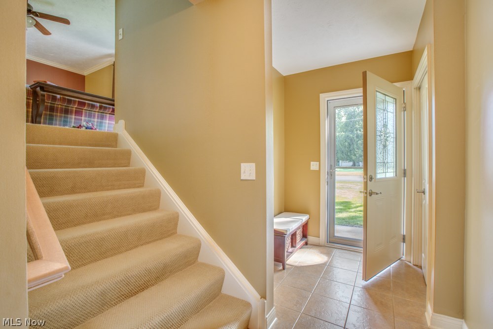 Scattered Woods - Residential