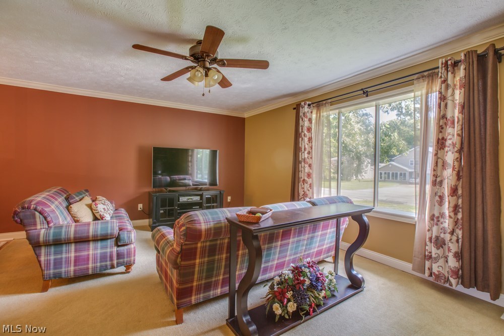 Scattered Woods - Residential