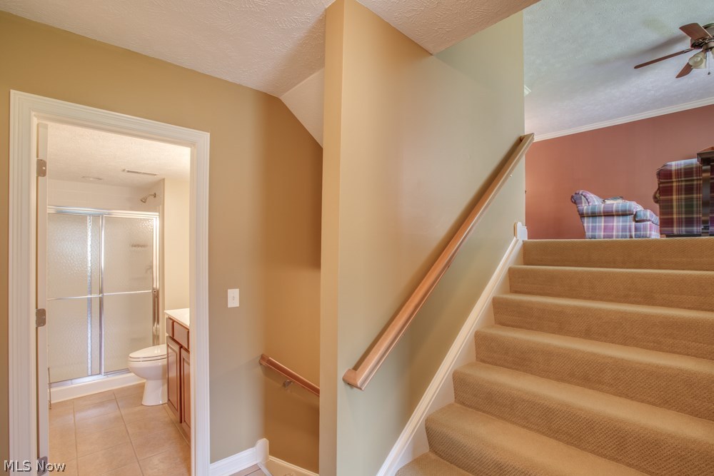 Scattered Woods - Residential