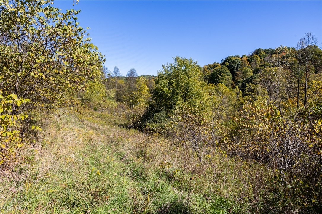 3245 Dixon Ridge Road, Lowell, Ohio image 8