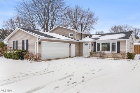 Photo of 6619 Rosedale Drive, Amherst, OH 44001 (MLS # 5179566)