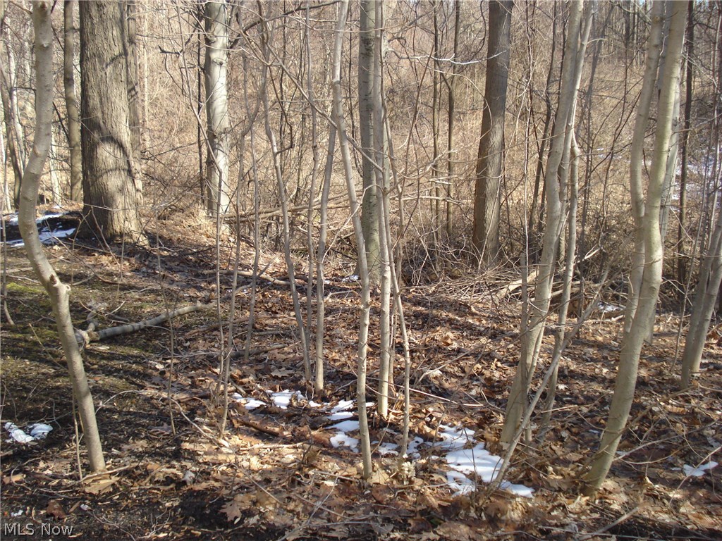 Silverwood - Residential