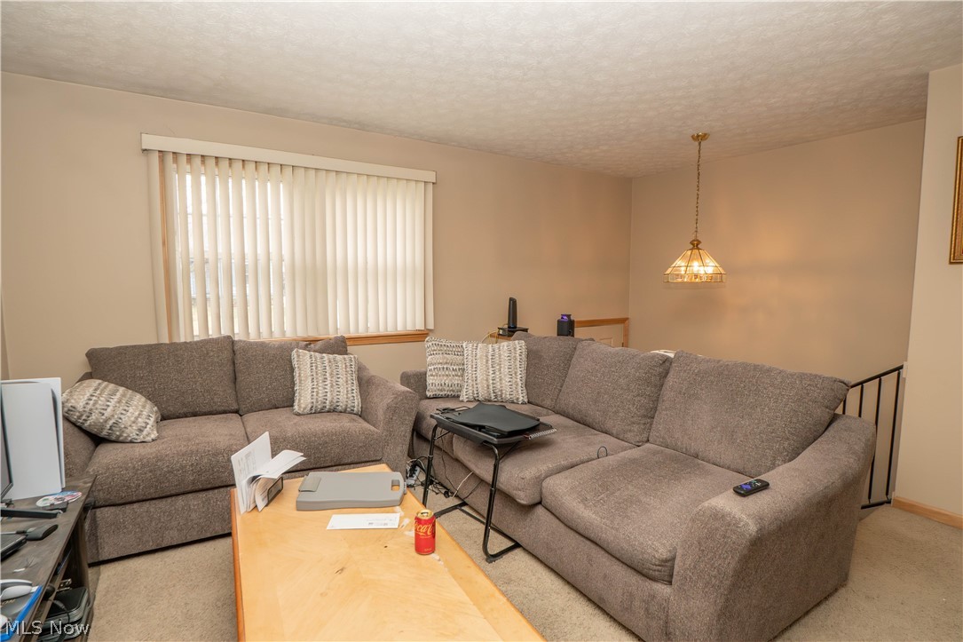 Tallmadge Road Allotment - Residential