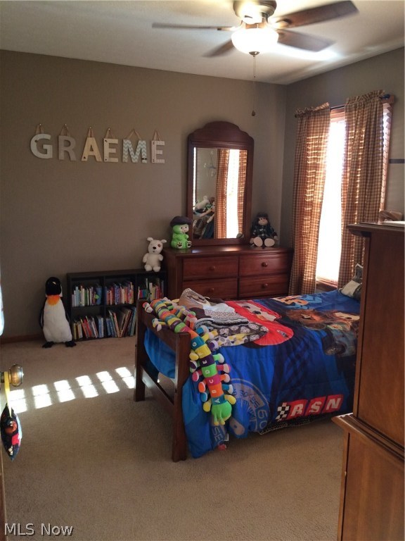 Geiser - Residential