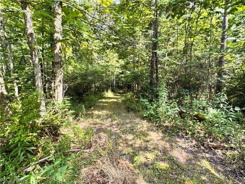 Tiny photo for 1066 Solar Road NE, Carrollton, OH 44615 (MLS # 5233418)