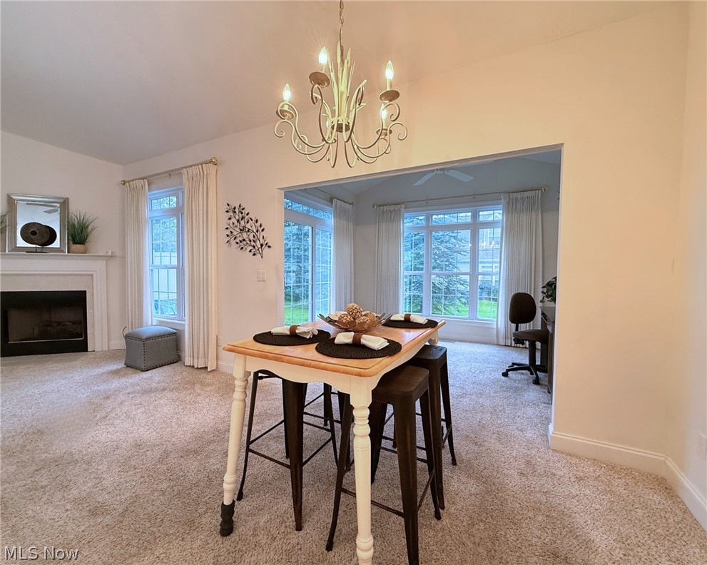 Pheasant Woods Condos Ph IV - Residential