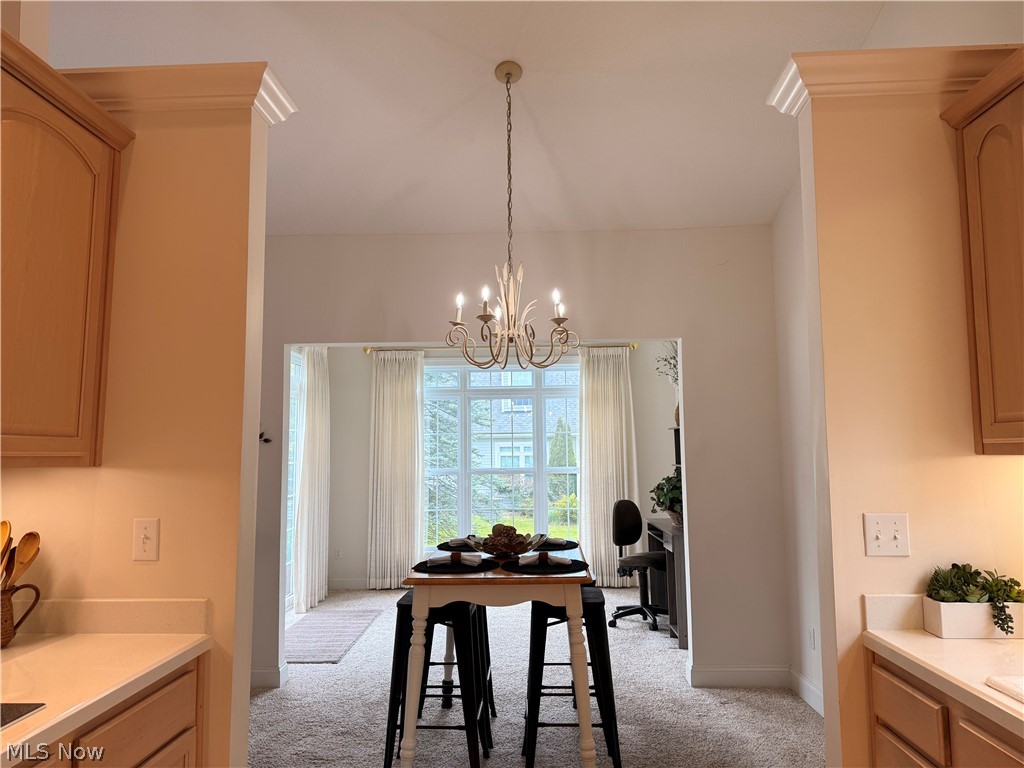 Pheasant Woods Condos Ph IV - Residential