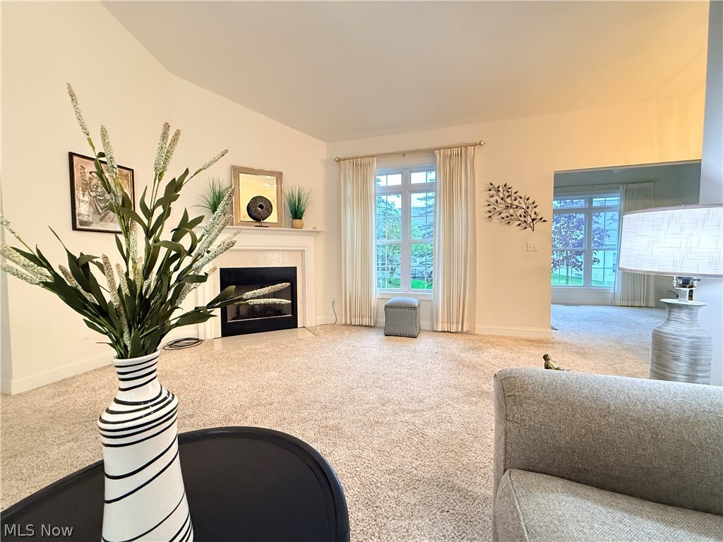Pheasant Woods Condos Ph IV - Residential