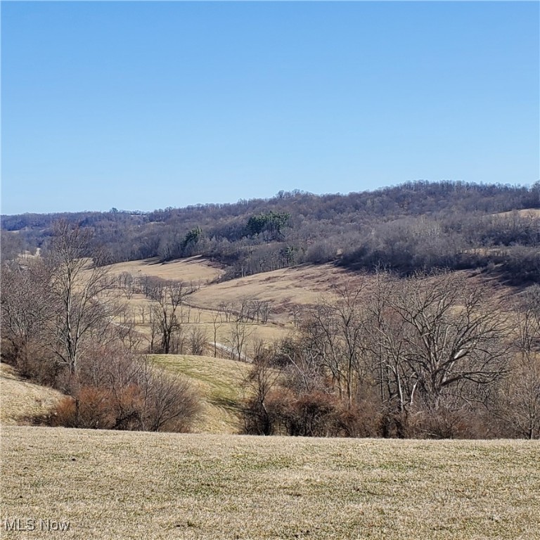 Bear Fox Road, Caldwell, Ohio image 25