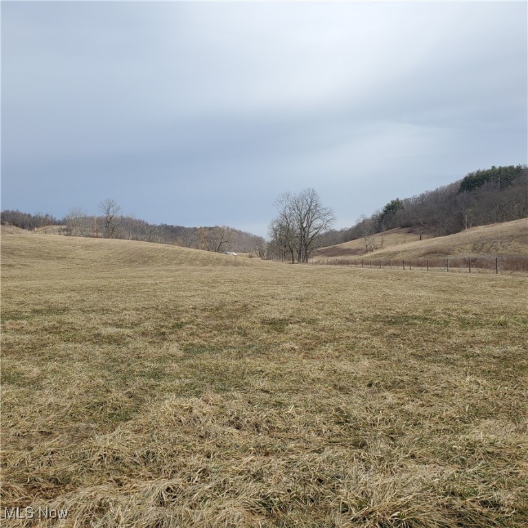 Bear Fox Road, Caldwell, Ohio image 9