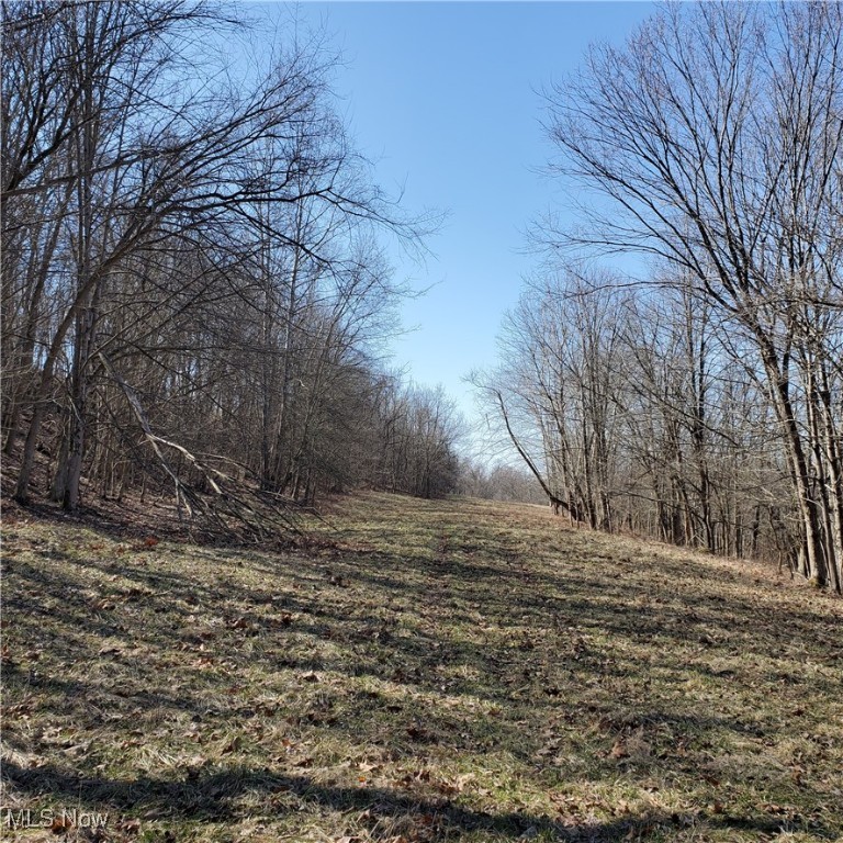 Bear Fox Road, Caldwell, Ohio image 33