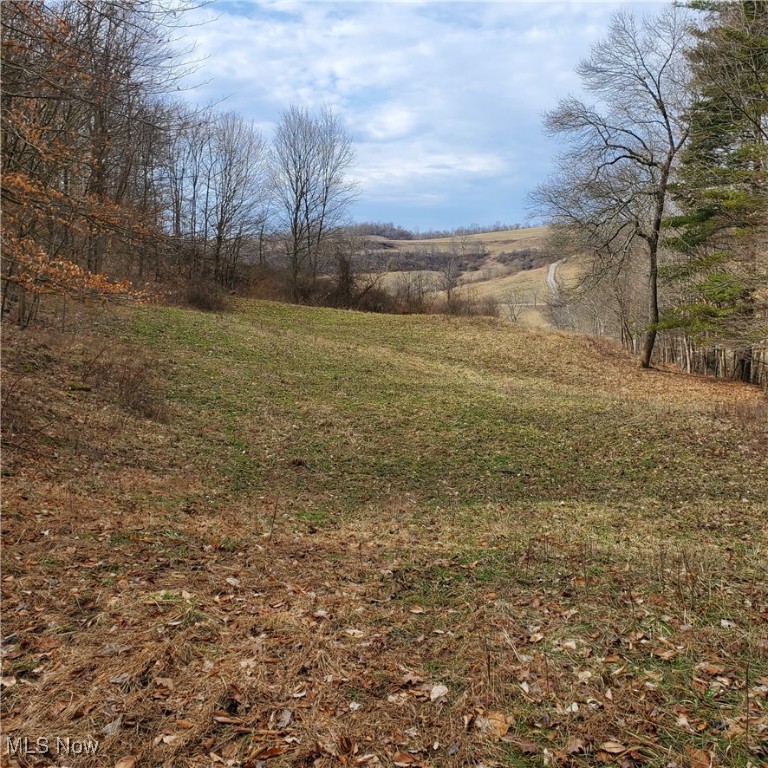 Bear Fox Road, Caldwell, Ohio image 11