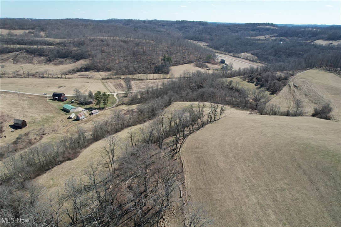 Bear Fox Road, Caldwell, Ohio image 34
