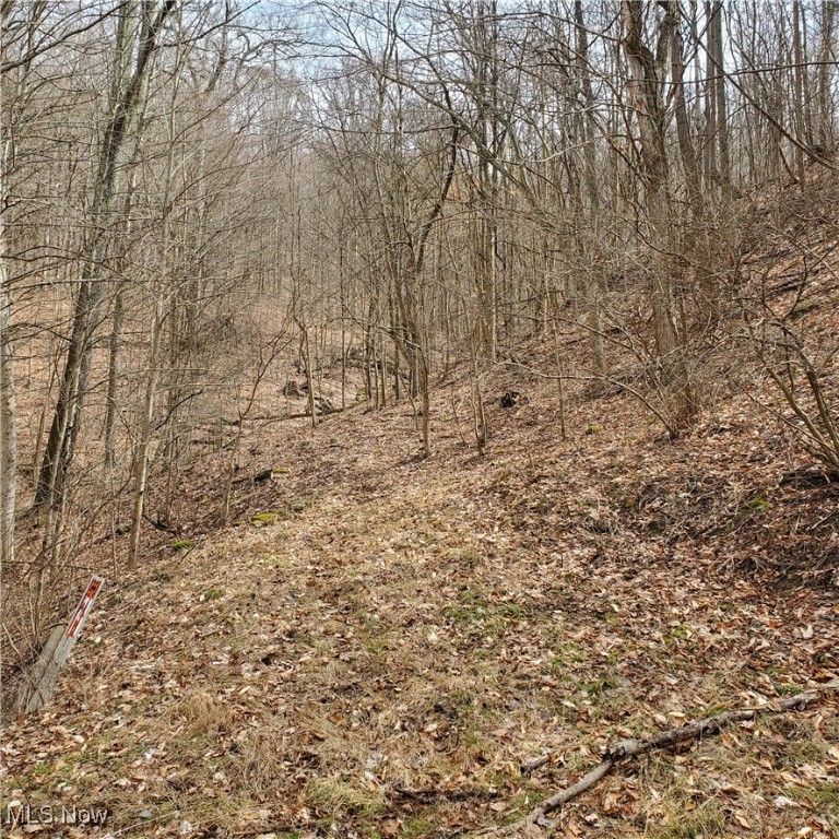 Bear Fox Road, Caldwell, Ohio image 10