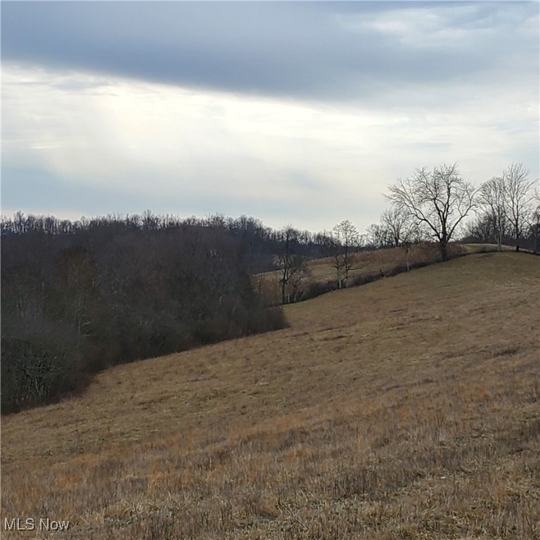 Bear Fox Road, Caldwell, Ohio image 15