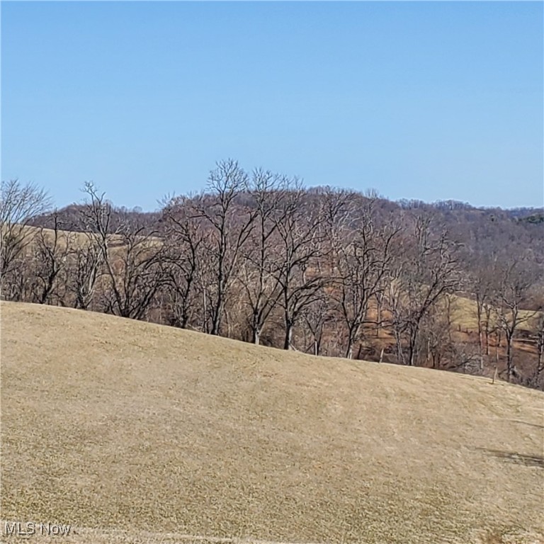 Bear Fox Road, Caldwell, Ohio image 27