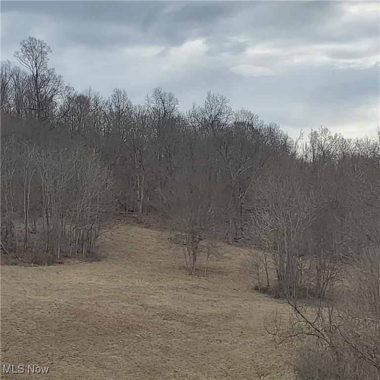 Bear Fox Road, Caldwell, Ohio image 16