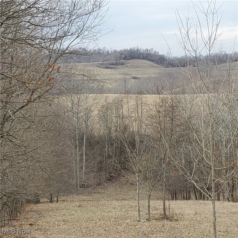 Bear Fox Road, Caldwell, Ohio image 14