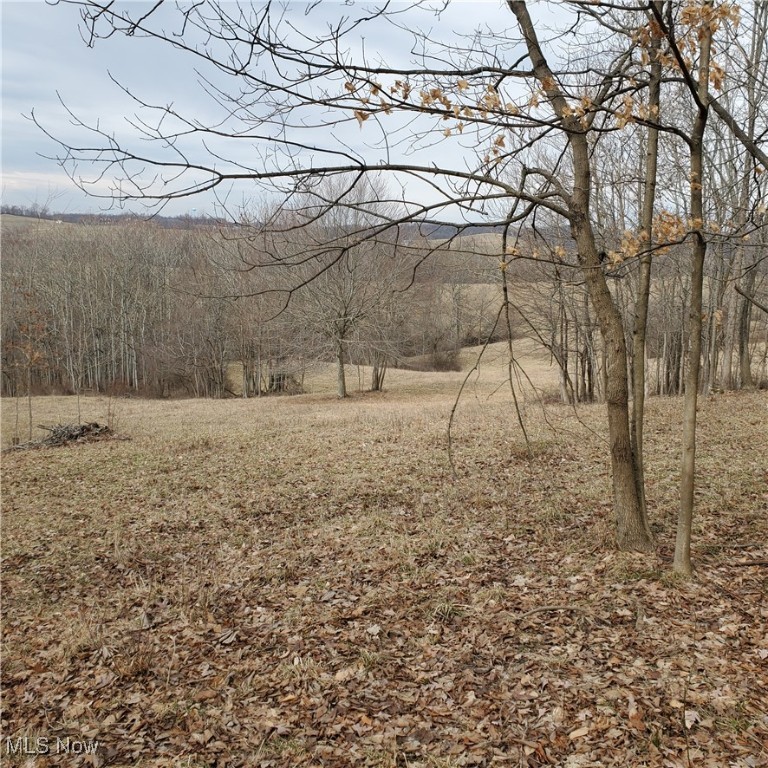 Bear Fox Road, Caldwell, Ohio image 13