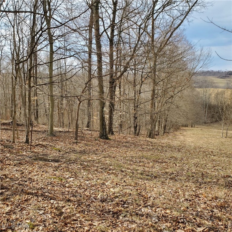 Bear Fox Road, Caldwell, Ohio image 12