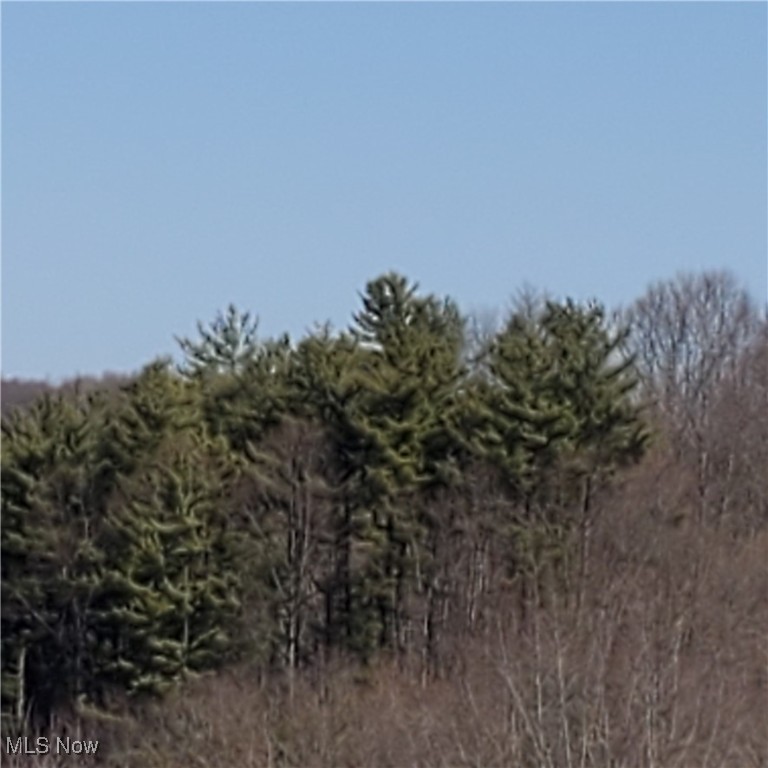 Bear Fox Road, Caldwell, Ohio image 32