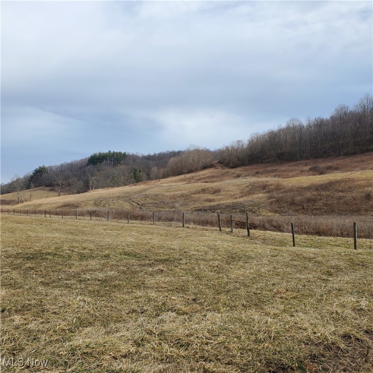 Bear Fox Road, Caldwell, Ohio image 8