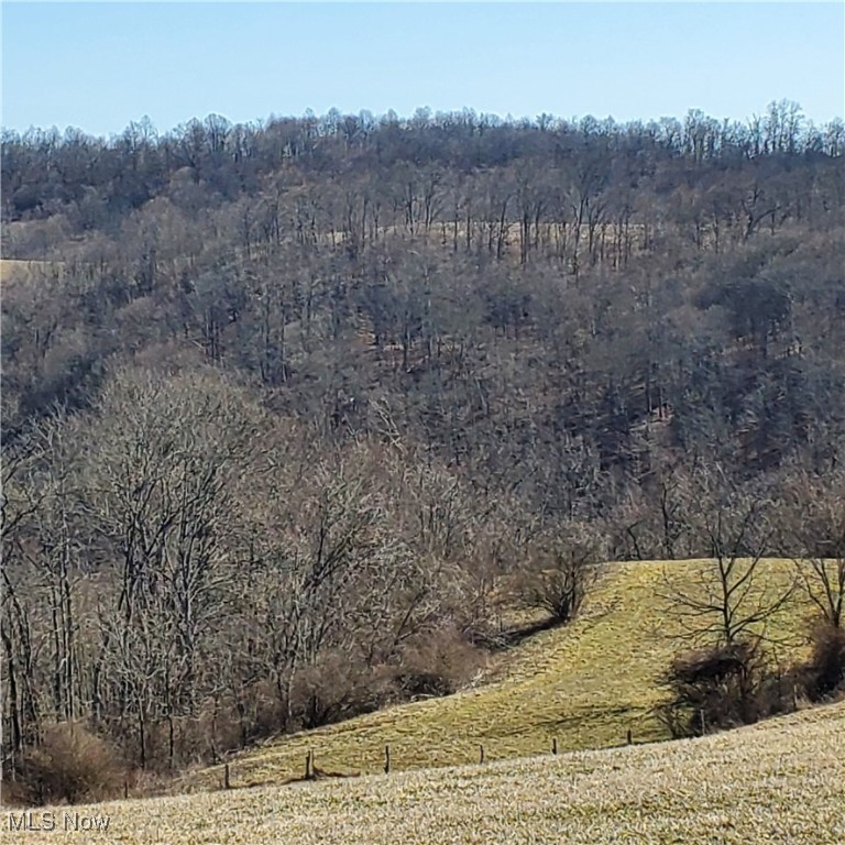 Bear Fox Road, Caldwell, Ohio image 26