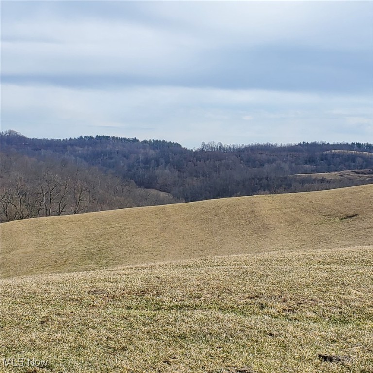 Bear Fox Road, Caldwell, Ohio image 19