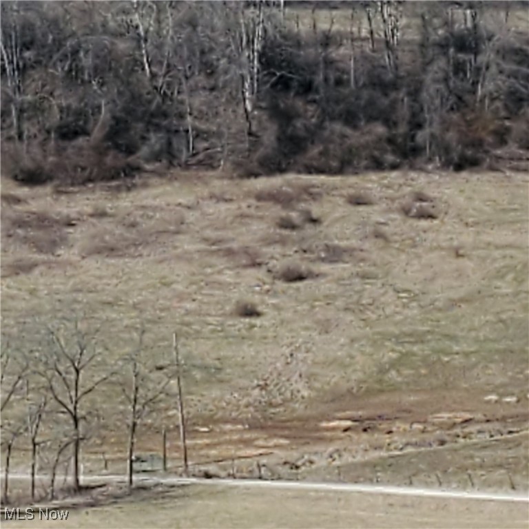 Bear Fox Road, Caldwell, Ohio image 31