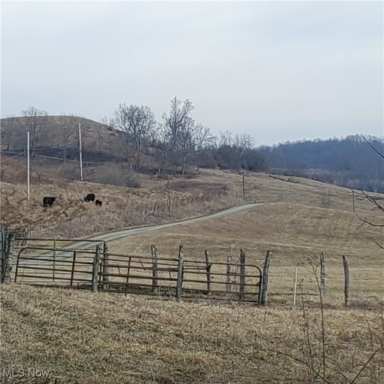 Bear Fox Road, Caldwell, Ohio image 4