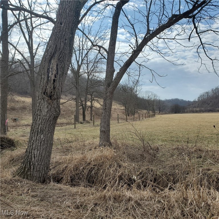Bear Fox Road, Caldwell, Ohio image 7