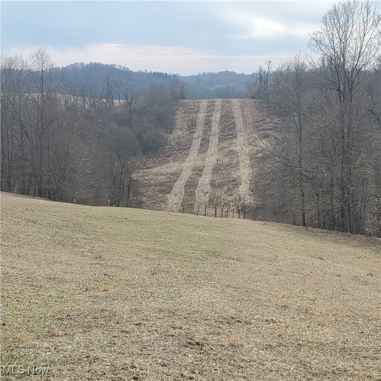 Bear Fox Road, Caldwell, Ohio image 18