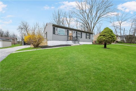 Tiny photo for 1966 Case Street, Twinsburg, OH 44087 (MLS # 5197669)