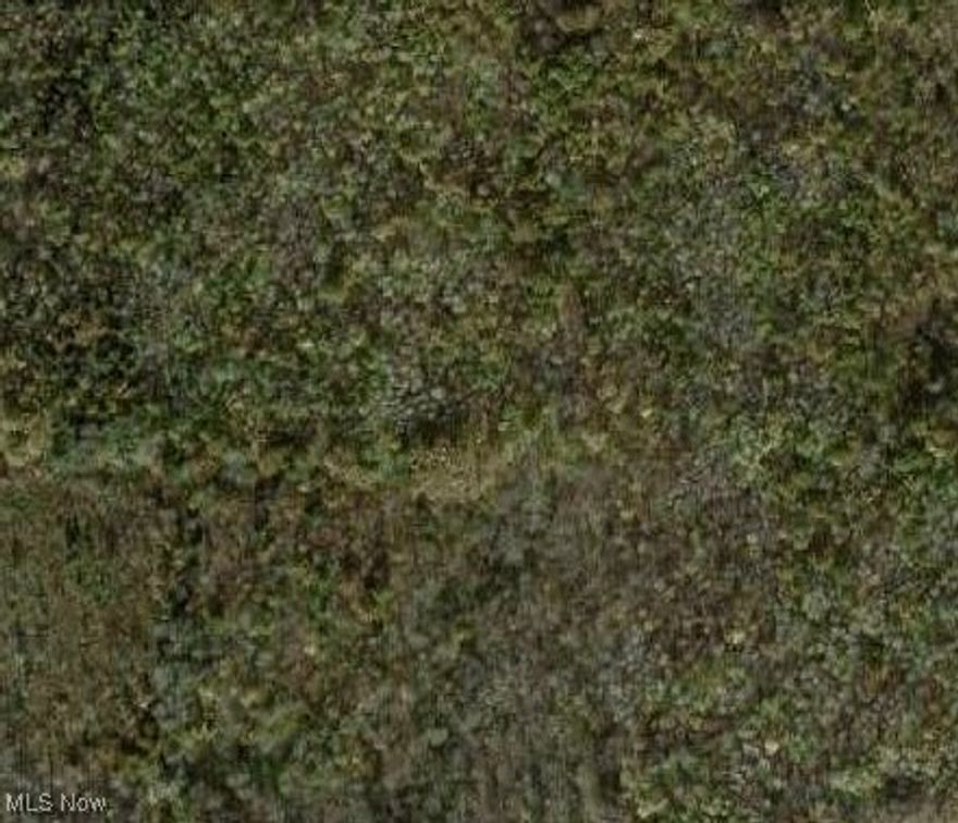 Large lot of treed land is ready to be claimed and made into your vision! 11.08 acres and the seller is also selling the adjoining lot next door which is nearly 18 acres. Seller can sell them together or separately. Please contact the listing agent to arrange your visit. The possibilities are endless!!